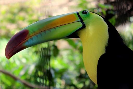 Guanacaste National Park